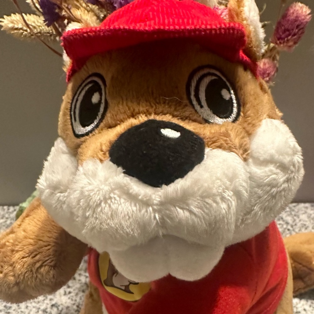 Official Buc-ee Beaver Stuffie